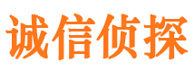 鼎湖找人公司